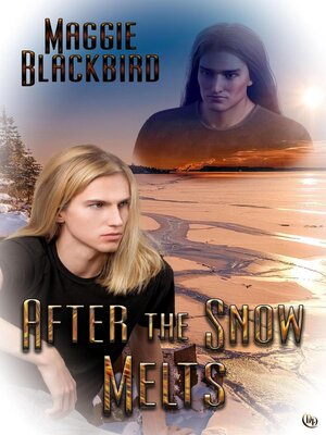 cover image of After the Snow Melts